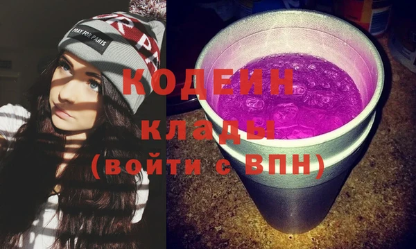 индика Алзамай
