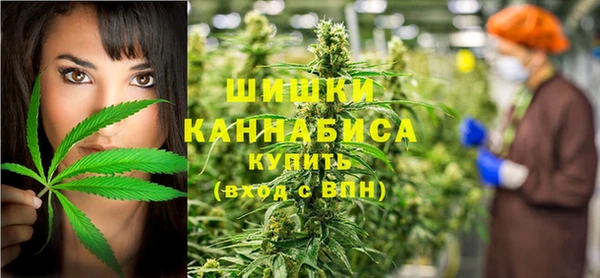 PSILOCYBIN Алексеевка