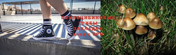 PSILOCYBIN Алексеевка