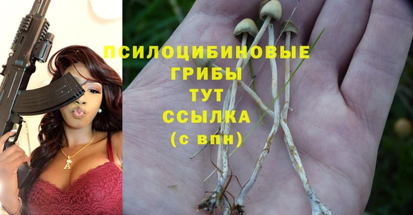 индика Алзамай