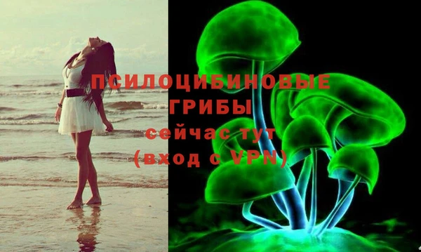 PSILOCYBIN Алексеевка