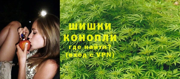 индика Алзамай